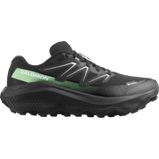 Salomon Ultra Flow 2 GTX - Mens