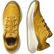 Salomon Aero Glide 3 GRVL - Mens
