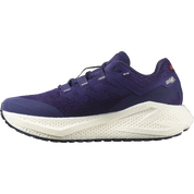 Salomon Aero Glide 3 GRVL - Mens