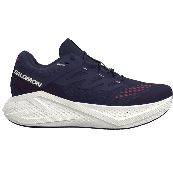 Salomon Aero Glide 3 GRVL - Mens