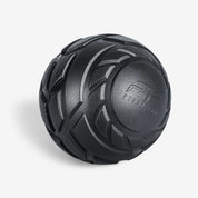 PTP Myosphere