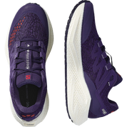 Salomon Aero Glide 3 GRVL - Mens