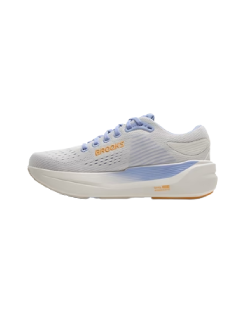 RP-Brooks_Coconut_blue_heron_orange.png